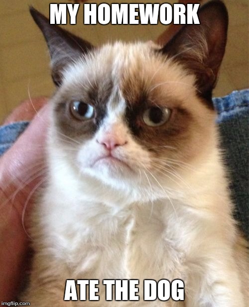 Grumpy Cat | MY HOMEWORK; ATE THE DOG | image tagged in memes,grumpy cat | made w/ Imgflip meme maker