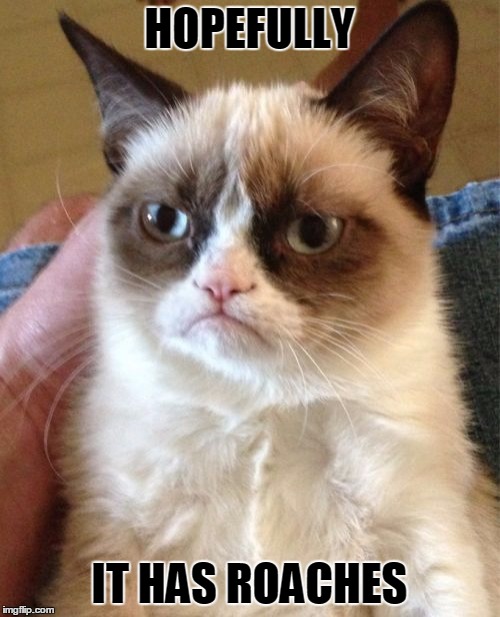 Grumpy Cat Meme | HOPEFULLY IT HAS ROACHES | image tagged in memes,grumpy cat | made w/ Imgflip meme maker