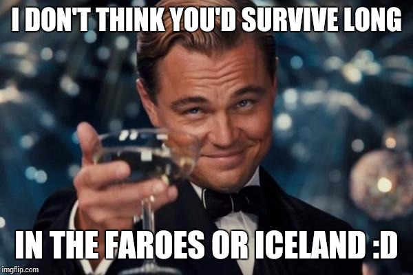 Leonardo Dicaprio Cheers Meme | I DON'T THINK YOU'D SURVIVE LONG IN THE FAROES OR ICELAND :D | image tagged in memes,leonardo dicaprio cheers | made w/ Imgflip meme maker