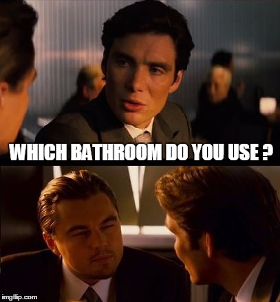 It's the new "What's in your wallet?" | WHICH BATHROOM DO YOU USE ? | image tagged in inception,transgender bathroom | made w/ Imgflip meme maker