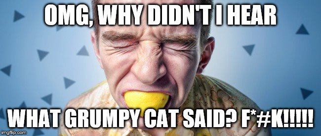 OMG, WHY DIDN'T I HEAR WHAT GRUMPY CAT SAID? F*#K!!!!! | image tagged in bite_into_it | made w/ Imgflip meme maker