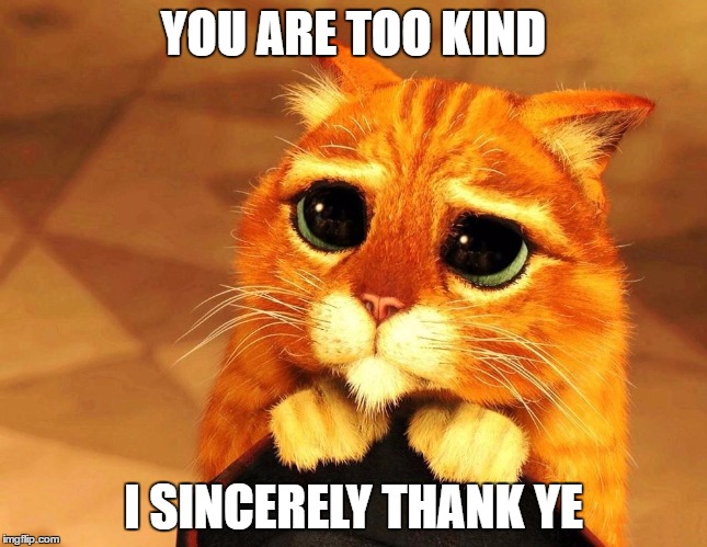 YOU ARE TOO KIND I SINCERELY THANK YE | made w/ Imgflip meme maker