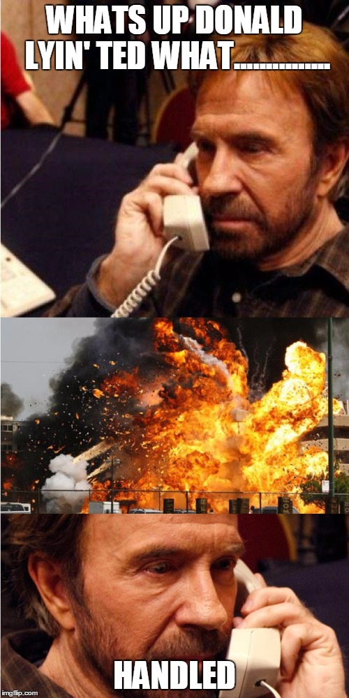 WHATS UP DONALD LYIN' TED WHAT............... HANDLED | image tagged in chuck norris angry call | made w/ Imgflip meme maker