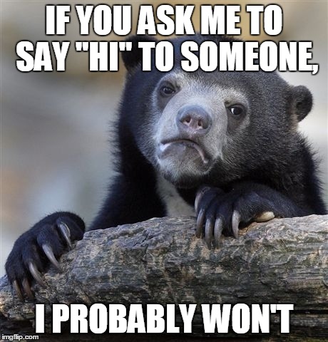Confession Bear Meme | IF YOU ASK ME TO SAY "HI" TO SOMEONE, I PROBABLY WON'T | image tagged in memes,confession bear | made w/ Imgflip meme maker