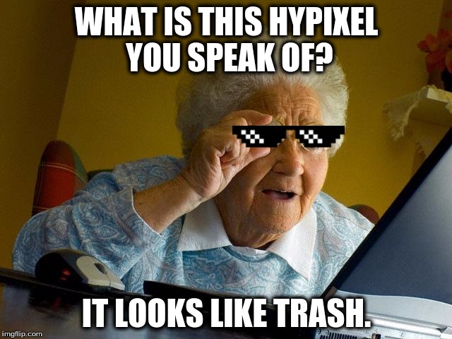 Grandma Finds The Internet | WHAT IS THIS HYPIXEL YOU SPEAK OF? IT LOOKS LIKE TRASH. | image tagged in memes,grandma finds the internet | made w/ Imgflip meme maker