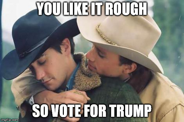 YOU LIKE IT ROUGH SO VOTE FOR TRUMP | made w/ Imgflip meme maker