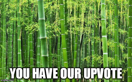 YOU HAVE OUR UPVOTE | made w/ Imgflip meme maker