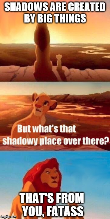 Simba Shadowy Place Meme | SHADOWS ARE CREATED BY BIG THINGS; THAT'S FROM YOU, FATASS | image tagged in memes,simba shadowy place | made w/ Imgflip meme maker