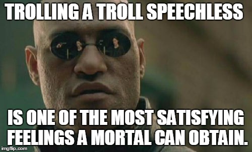 Try it. | TROLLING A TROLL SPEECHLESS; IS ONE OF THE MOST SATISFYING FEELINGS A MORTAL CAN OBTAIN. | image tagged in memes,matrix morpheus | made w/ Imgflip meme maker