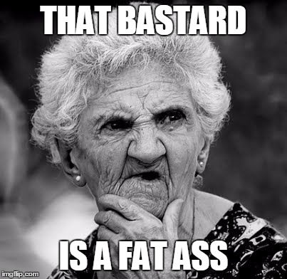 Wondering Old Lady | THAT BASTARD; IS A FAT ASS | image tagged in wondering old lady | made w/ Imgflip meme maker