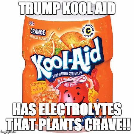 Trump Kool Aid | TRUMP KOOL AID; HAS ELECTROLYTES THAT PLANTS CRAVE!! | image tagged in trump kool aid | made w/ Imgflip meme maker
