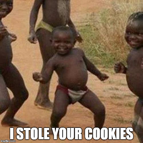 Third World Success Kid | I STOLE YOUR COOKIES | image tagged in memes,third world success kid | made w/ Imgflip meme maker