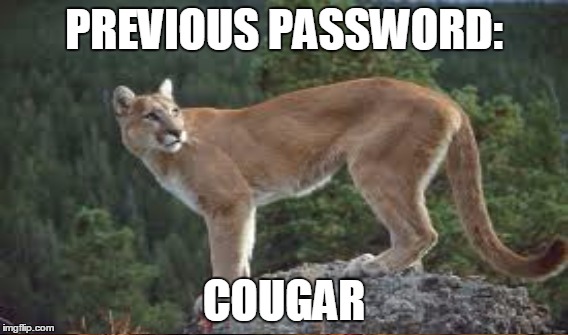 PREVIOUS PASSWORD: COUGAR | made w/ Imgflip meme maker