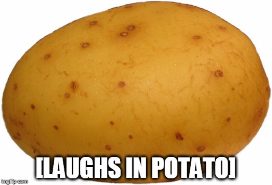 [LAUGHS IN POTATO] | image tagged in laughs in potato | made w/ Imgflip meme maker