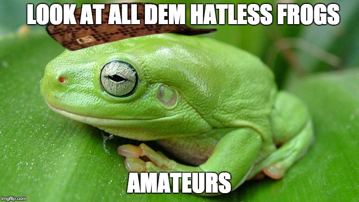frogs | LOOK AT ALL DEM HATLESS FROGS; AMATEURS | image tagged in frogs,scumbag | made w/ Imgflip meme maker