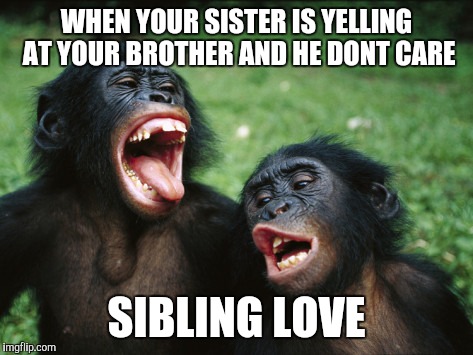 Bonobo Lyfe | WHEN YOUR SISTER IS YELLING AT YOUR BROTHER AND HE DONT CARE; SIBLING LOVE | image tagged in memes,bonobo lyfe | made w/ Imgflip meme maker