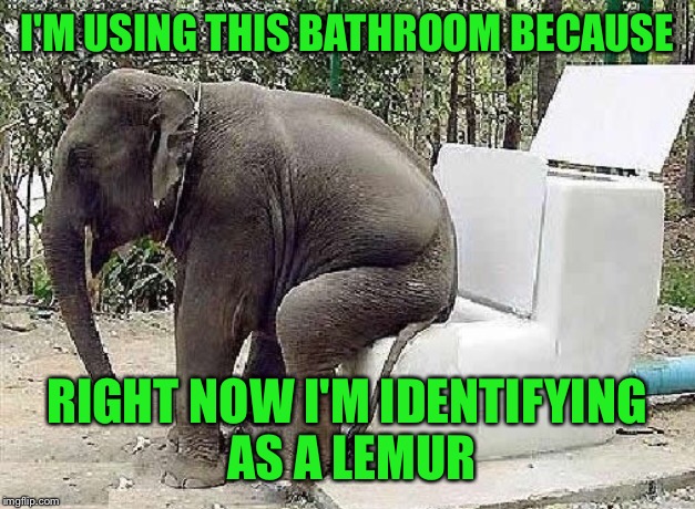 My elephant is in the midst of an identity crisis | I'M USING THIS BATHROOM BECAUSE; RIGHT NOW I'M IDENTIFYING AS A LEMUR | image tagged in memes,funny,bathroom,elephant,toilet humor | made w/ Imgflip meme maker