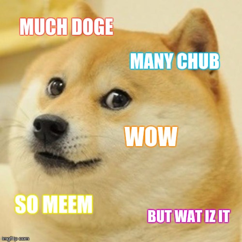 Doge Meme | MUCH DOGE; MANY CHUB; WOW; SO MEEM; BUT WAT IZ IT | image tagged in memes,doge | made w/ Imgflip meme maker