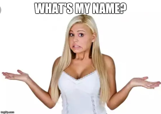 WHAT'S MY NAME? | made w/ Imgflip meme maker