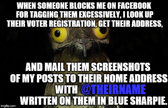 The Best Revenge | WHEN SOMEONE BLOCKS ME ON FACEBOOK FOR TAGGING THEM EXCESSIVELY, I LOOK UP THEIR VOTER REGISTRATION, GET THEIR ADDRESS, AND MAIL THEM SCREENSHOTS OF MY POSTS TO THEIR HOME ADDRESS WITH                              WRITTEN ON THEM IN BLUE SHARPIE. @THEIRNAME | image tagged in memes,weird stuff i do potoo | made w/ Imgflip meme maker