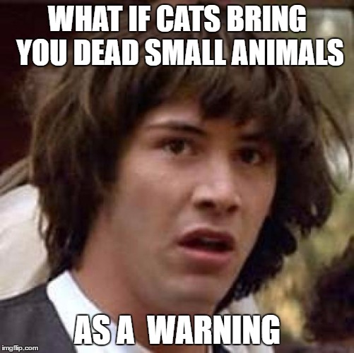 your cat can be deadly | WHAT IF CATS BRING YOU DEAD SMALL ANIMALS; AS A  WARNING | image tagged in memes,conspiracy keanu | made w/ Imgflip meme maker