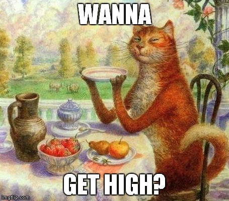 wanna get high? | WANNA; GET HIGH? | image tagged in cats,high,up in smoke,420,tea | made w/ Imgflip meme maker