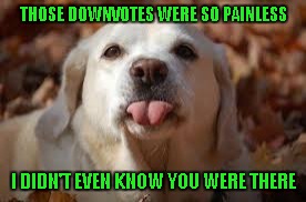 THOSE DOWNVOTES WERE SO PAINLESS I DIDN'T EVEN KNOW YOU WERE THERE | made w/ Imgflip meme maker