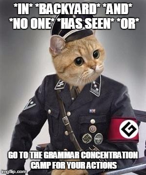 grammar nazi cat | *IN* *BACKYARD* *AND* *NO ONE* *HAS SEEN* *OR* GO TO THE GRAMMAR CONCENTRATION CAMP FOR YOUR ACTIONS | image tagged in grammar nazi cat | made w/ Imgflip meme maker