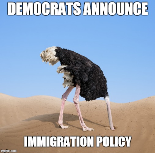 DNC Policy | DEMOCRATS ANNOUNCE; IMMIGRATION POLICY | image tagged in immigration,democrats,clinton,hillary | made w/ Imgflip meme maker