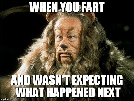 UH-OHH!!! | WHEN YOU FART; AND WASN'T EXPECTING WHAT HAPPENED NEXT | image tagged in poop | made w/ Imgflip meme maker