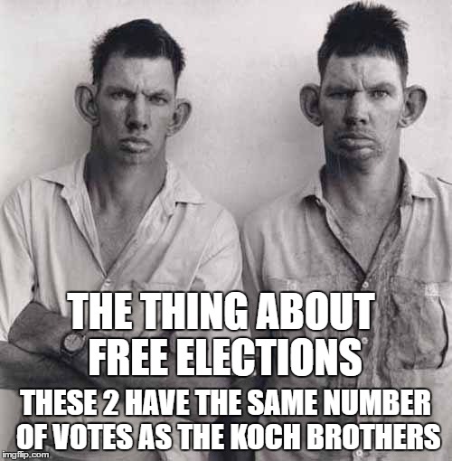 One man, one vote | THE THING ABOUT FREE ELECTIONS; THESE 2 HAVE THE SAME NUMBER OF VOTES AS THE KOCH BROTHERS | image tagged in memes | made w/ Imgflip meme maker