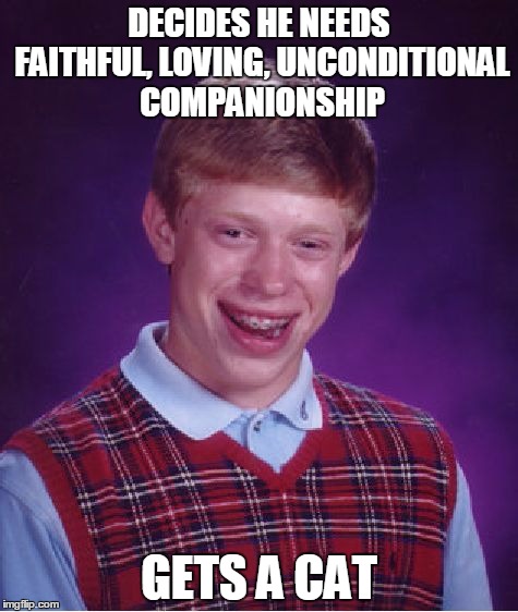 Bad Luck Brian | DECIDES HE NEEDS FAITHFUL, LOVING, UNCONDITIONAL COMPANIONSHIP; GETS A CAT | image tagged in memes,bad luck brian | made w/ Imgflip meme maker