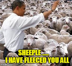 obama's sheeple | SHEEPLE .....      I HAVE FLEECED YOU ALL | image tagged in obama,democrats | made w/ Imgflip meme maker
