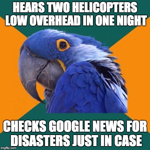 Paranoid Parrot Meme | HEARS TWO HELICOPTERS LOW OVERHEAD IN ONE NIGHT; CHECKS GOOGLE NEWS FOR DISASTERS JUST IN CASE | image tagged in memes,paranoid parrot,AdviceAnimals | made w/ Imgflip meme maker