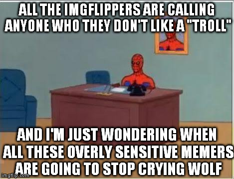 Can't we all just meme along? | ALL THE IMGFLIPPERS ARE CALLING ANYONE WHO THEY DON'T LIKE A "TROLL"; AND I'M JUST WONDERING WHEN ALL THESE OVERLY SENSITIVE MEMERS ARE GOING TO STOP CRYING WOLF | image tagged in memes,spiderman computer desk,spiderman,imgflip lately,children who cry wolf,lack of mental fortitude | made w/ Imgflip meme maker