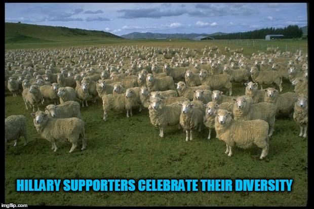 hillary supporters | HILLARY SUPPORTERS CELEBRATE THEIR DIVERSITY | image tagged in hillary,clinton,election | made w/ Imgflip meme maker