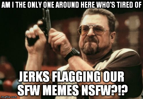 I follow Imgflip's guidelines perfectly, yet, some cowards can still flag my memes NSFW on a regular basis?  | AM I THE ONLY ONE AROUND HERE WHO'S TIRED OF; JERKS FLAGGING OUR SFW MEMES NSFW?!? | image tagged in memes,am i the only one around here,problems with imgflip,define nsfw again imgflip | made w/ Imgflip meme maker