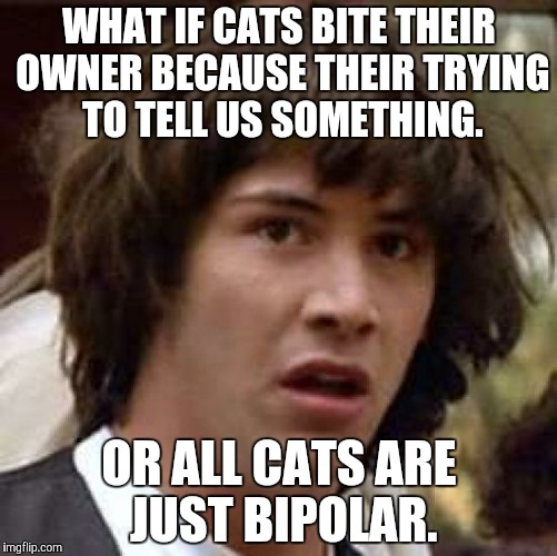 Conspiracy Keanu | WHAT IF CATS BITE THEIR OWNER BECAUSE THEIR TRYING TO TELL US SOMETHING. OR ALL CATS ARE JUST BIPOLAR. | image tagged in memes,conspiracy keanu | made w/ Imgflip meme maker
