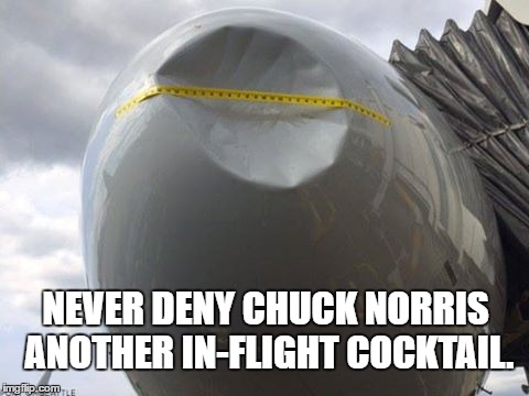 airplanes | NEVER DENY CHUCK NORRIS ANOTHER IN-FLIGHT COCKTAIL. | image tagged in chuck norris,bad ass | made w/ Imgflip meme maker