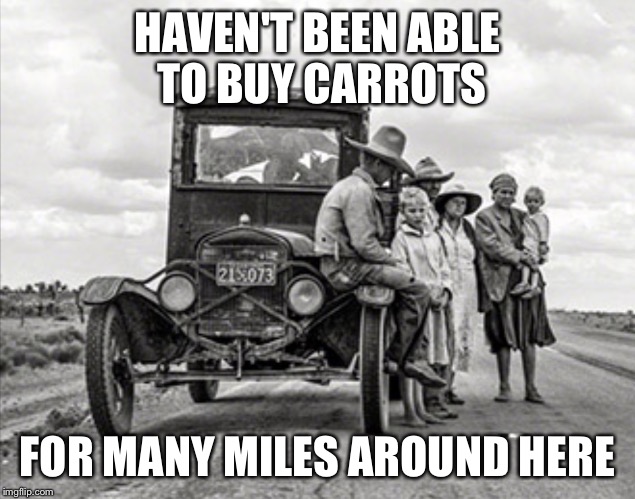 DEPRESSION TRAVELERS | HAVEN'T BEEN ABLE TO BUY CARROTS FOR MANY MILES AROUND HERE | image tagged in depression travelers | made w/ Imgflip meme maker