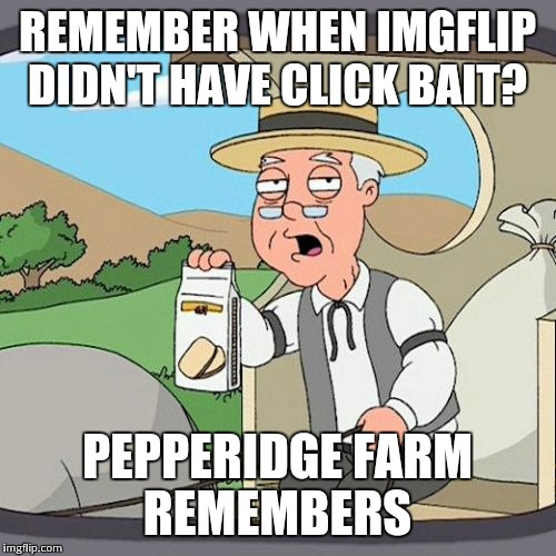 Pepperidge Farm Remembers | REMEMBER WHEN IMGFLIP DIDN'T HAVE CLICK BAIT? PEPPERIDGE FARM REMEMBERS | image tagged in memes,pepperidge farm remembers | made w/ Imgflip meme maker