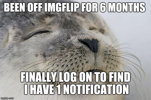 Satisfied Seal Meme | BEEN OFF IMGFLIP FOR 6 MONTHS; FINALLY LOG ON TO FIND I HAVE 1 NOTIFICATION | image tagged in memes,satisfied seal | made w/ Imgflip meme maker