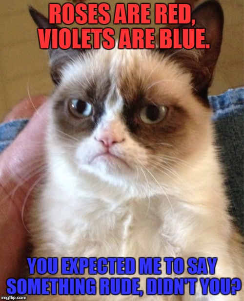 Grumpy Cat | ROSES ARE RED, VIOLETS ARE BLUE. YOU EXPECTED ME TO SAY SOMETHING RUDE, DIDN'T YOU? | image tagged in memes,grumpy cat,rude,mean,roses are red,troll | made w/ Imgflip meme maker