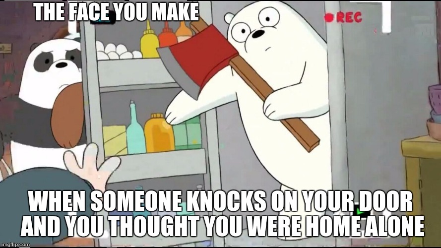 Happens too often... | THE FACE YOU MAKE; WHEN SOMEONE KNOCKS ON YOUR DOOR AND YOU THOUGHT YOU WERE HOME ALONE | image tagged in ice bear,you're weird | made w/ Imgflip meme maker