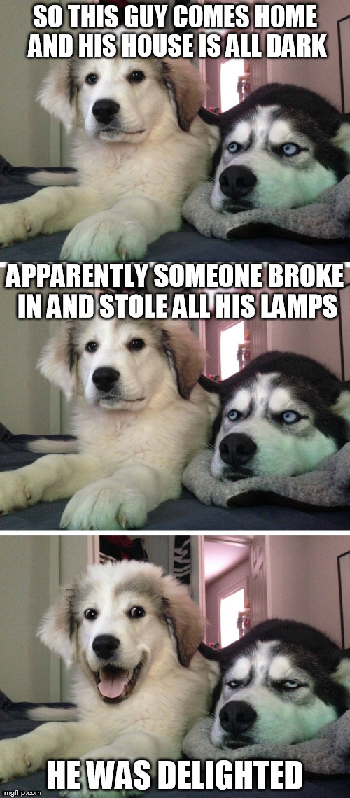 This Dog Is Shedding Light | SO THIS GUY COMES HOME AND HIS HOUSE IS ALL DARK; APPARENTLY SOMEONE BROKE IN AND STOLE ALL HIS LAMPS; HE WAS DELIGHTED | image tagged in bad pun dogs,robbery,i love lamp,delight | made w/ Imgflip meme maker