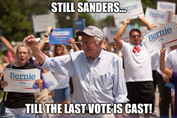 Bernie Sanders | STILL SANDERS... TILL THE LAST VOTE IS CAST! | image tagged in bernie sanders | made w/ Imgflip meme maker