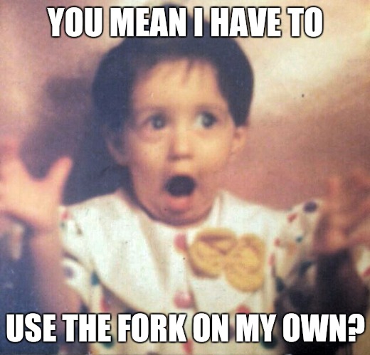 Surprise girl | YOU MEAN I HAVE TO; USE THE FORK ON MY OWN? | image tagged in surprise girl | made w/ Imgflip meme maker