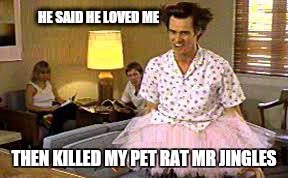 love is in the air | HE SAID HE LOVED ME; THEN KILLED MY PET RAT MR JINGLES | image tagged in memes,jim carrey,the most interesting man in the world | made w/ Imgflip meme maker