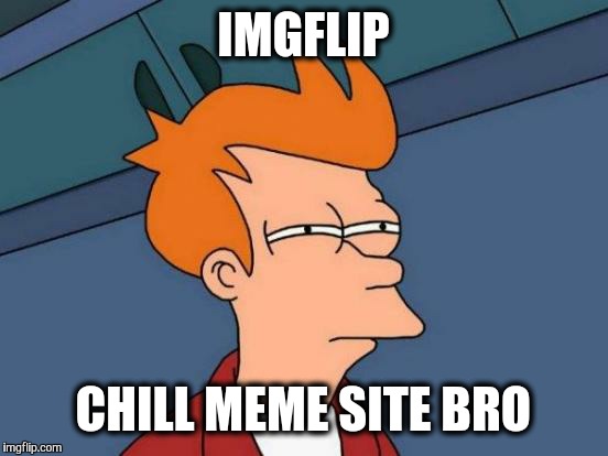 Futurama Fry Meme | IMGFLIP CHILL MEME SITE BRO | image tagged in memes,futurama fry | made w/ Imgflip meme maker