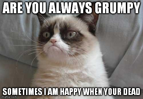 grumpy cat strikes | ARE YOU ALWAYS GRUMPY; SOMETIMES I AM HAPPY WHEN YOUR DEAD | image tagged in grumpy cat buccaneers uniforms | made w/ Imgflip meme maker